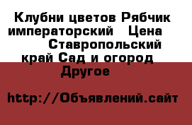 Клубни цветов Рябчик императорский › Цена ­ 100 - Ставропольский край Сад и огород » Другое   